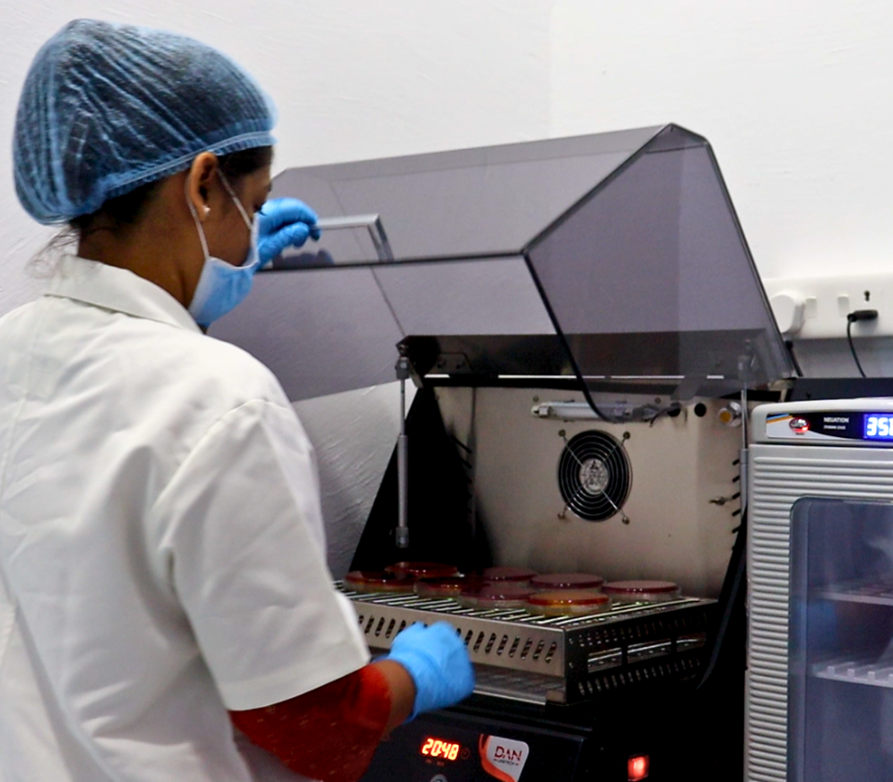 Microbiological Testing